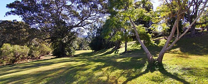 land and tree