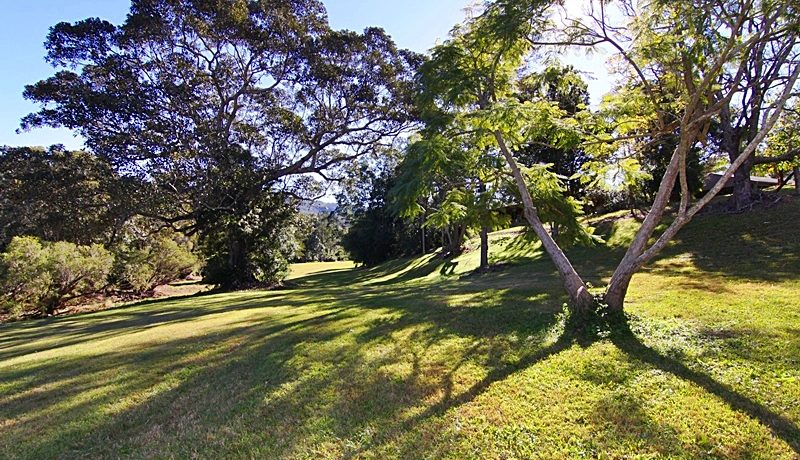 land and tree