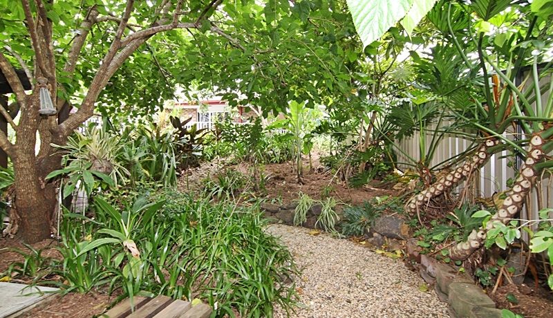 garden-1