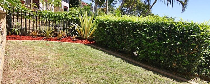yard