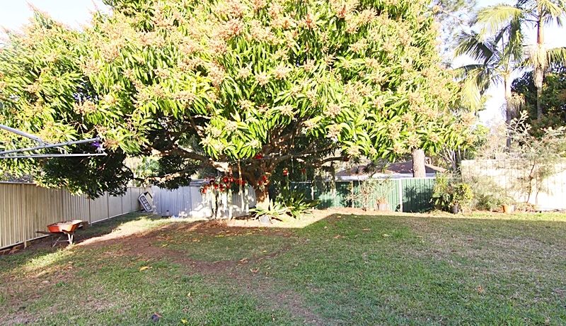 12 Coomville - backyard 2