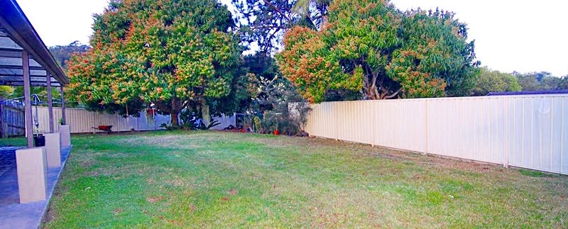 12 Coomville - backyard