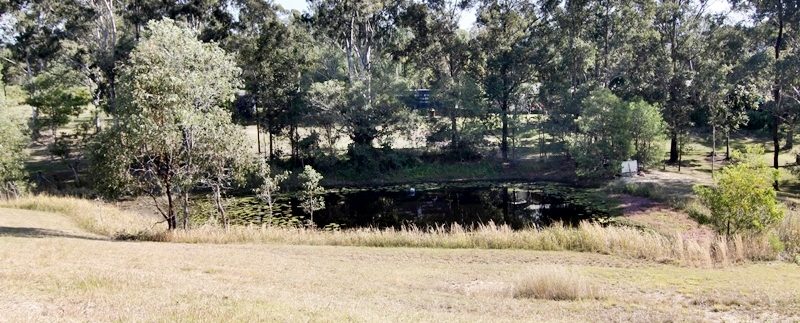 Beaudesert-Nerang 840 - dam