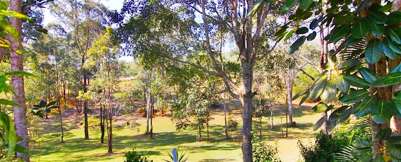 Beaudesert-Nerang 840 - garden