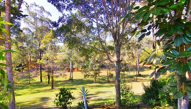 Beaudesert-Nerang 840 - garden